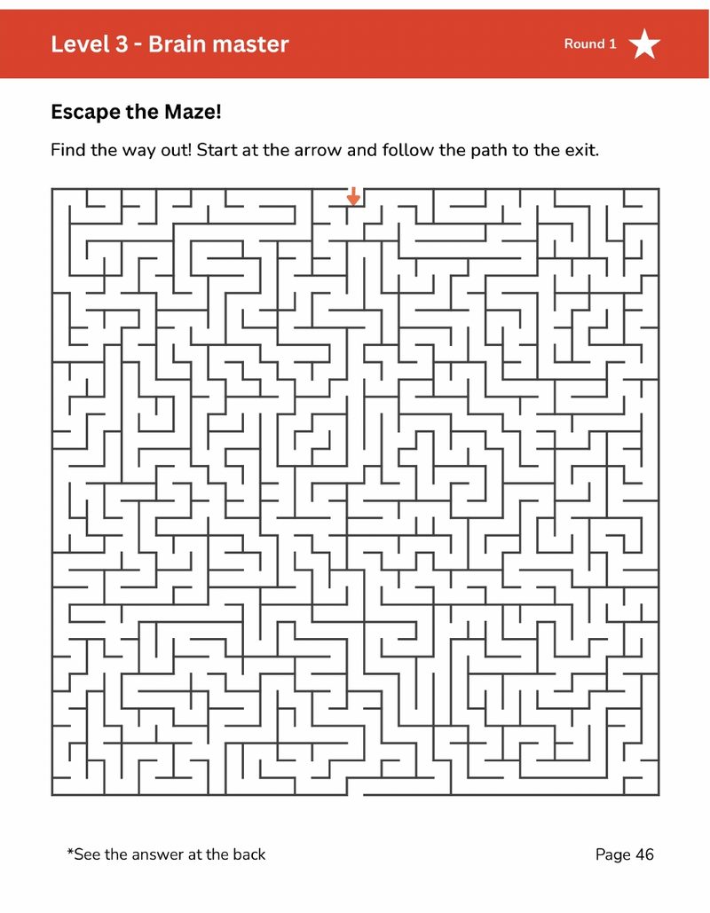 Level 3 maze page, hardest difficulty